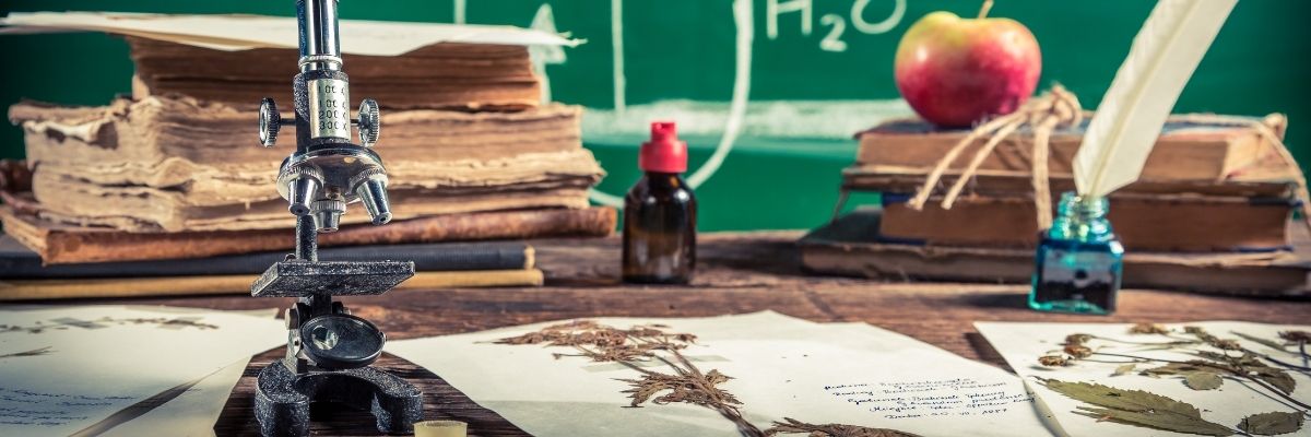 Biyoloji Konularını Sanatsever Yaklaşımla Öğretme